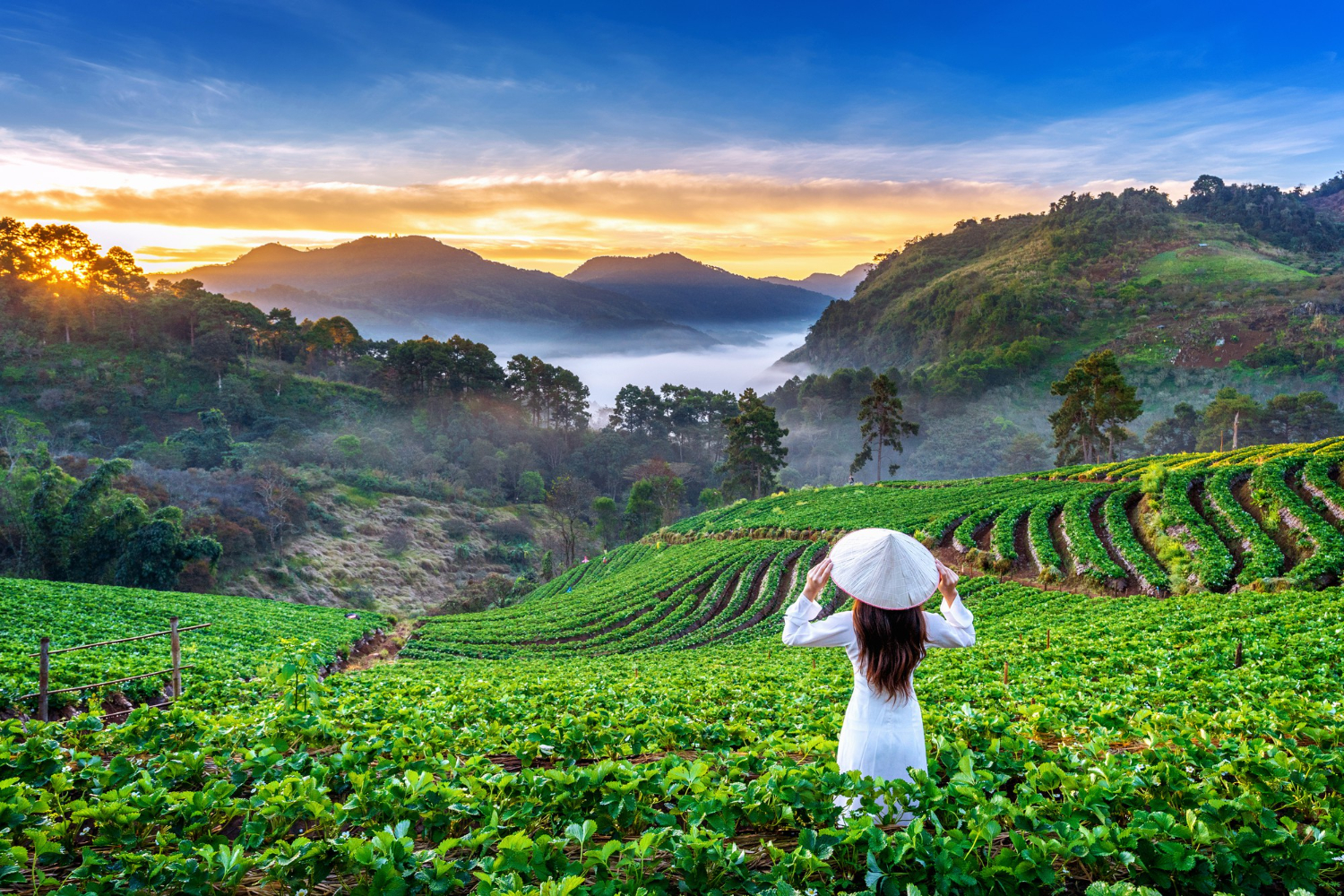 7-Night Vietnam Explorer – From Pune to Lantern Streets