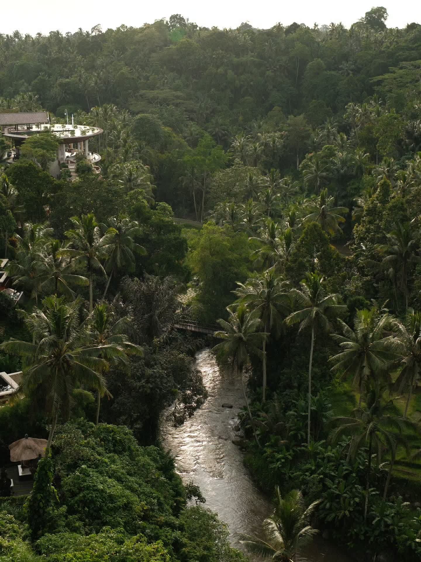 4-Night Canggu and Ubud Honeymoon Trip from Kochi