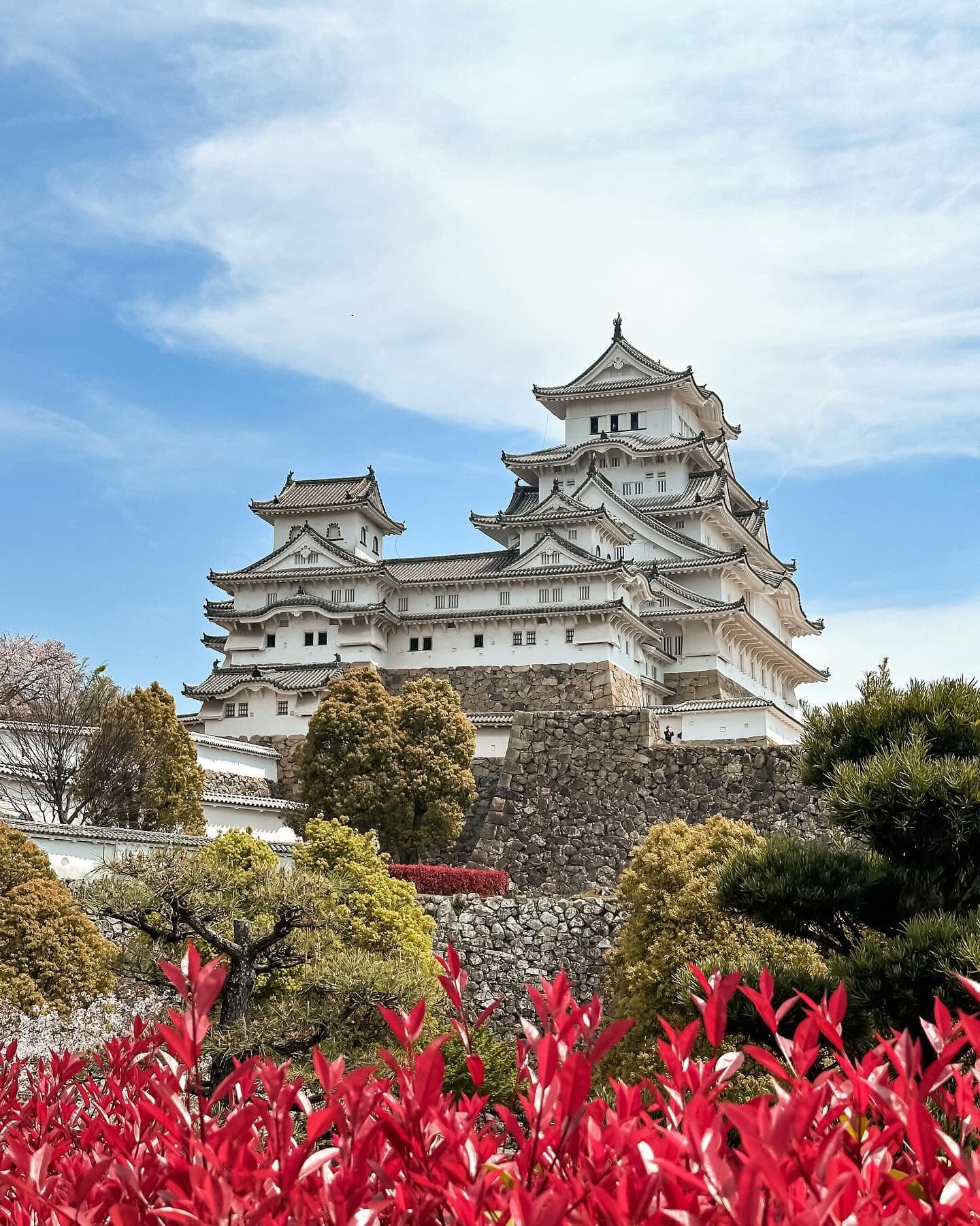 6-Night Three-City Adventure Across Tokyo, Mount Fuji and Osaka