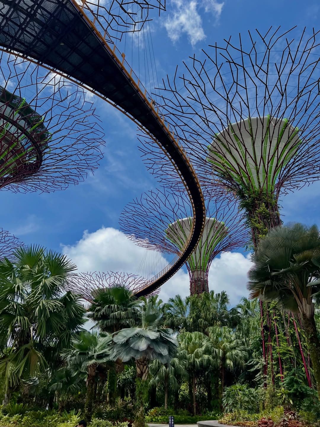 Singapore