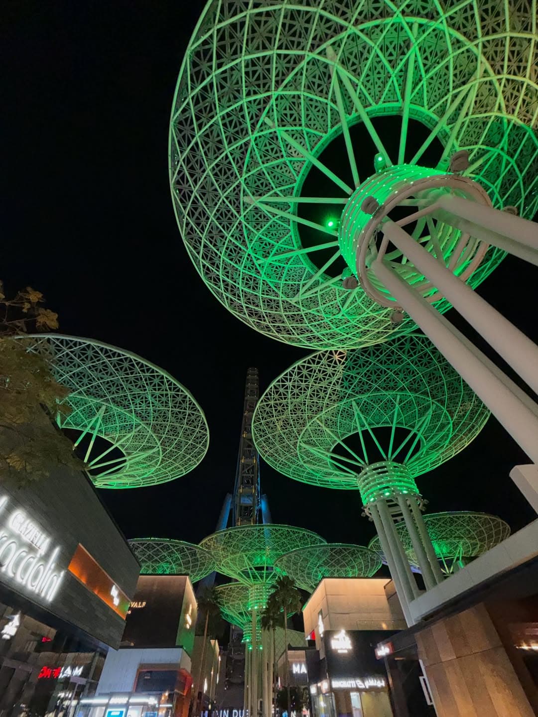5-Night Deira and JBR Adventure Trip from Kolkata