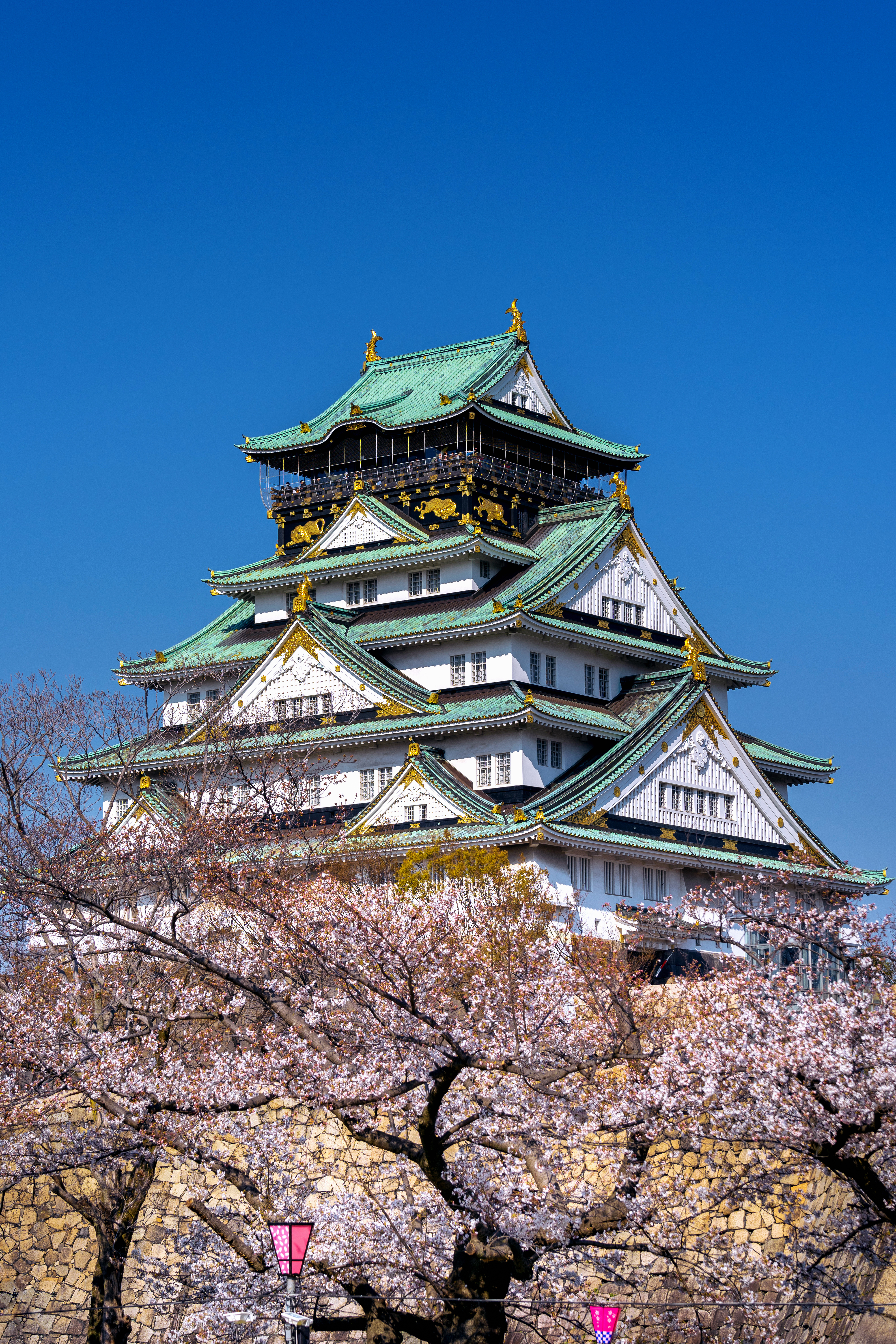 10N Best Japan Tour Packages from Bangalore – Tradition & Modern Wonders