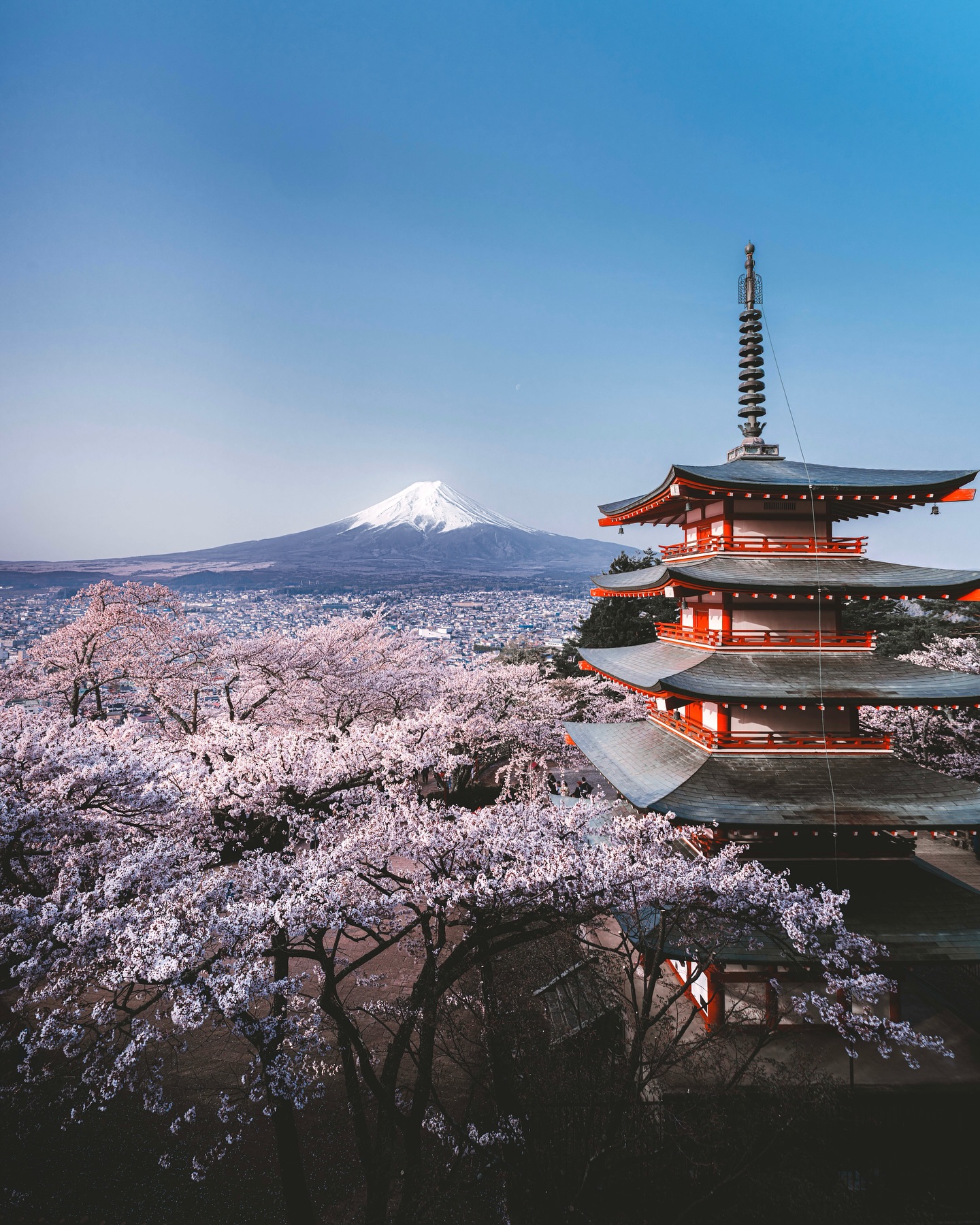 6N Japan Honeymoon packages from India – Tokyo, Osaka & Kyoto