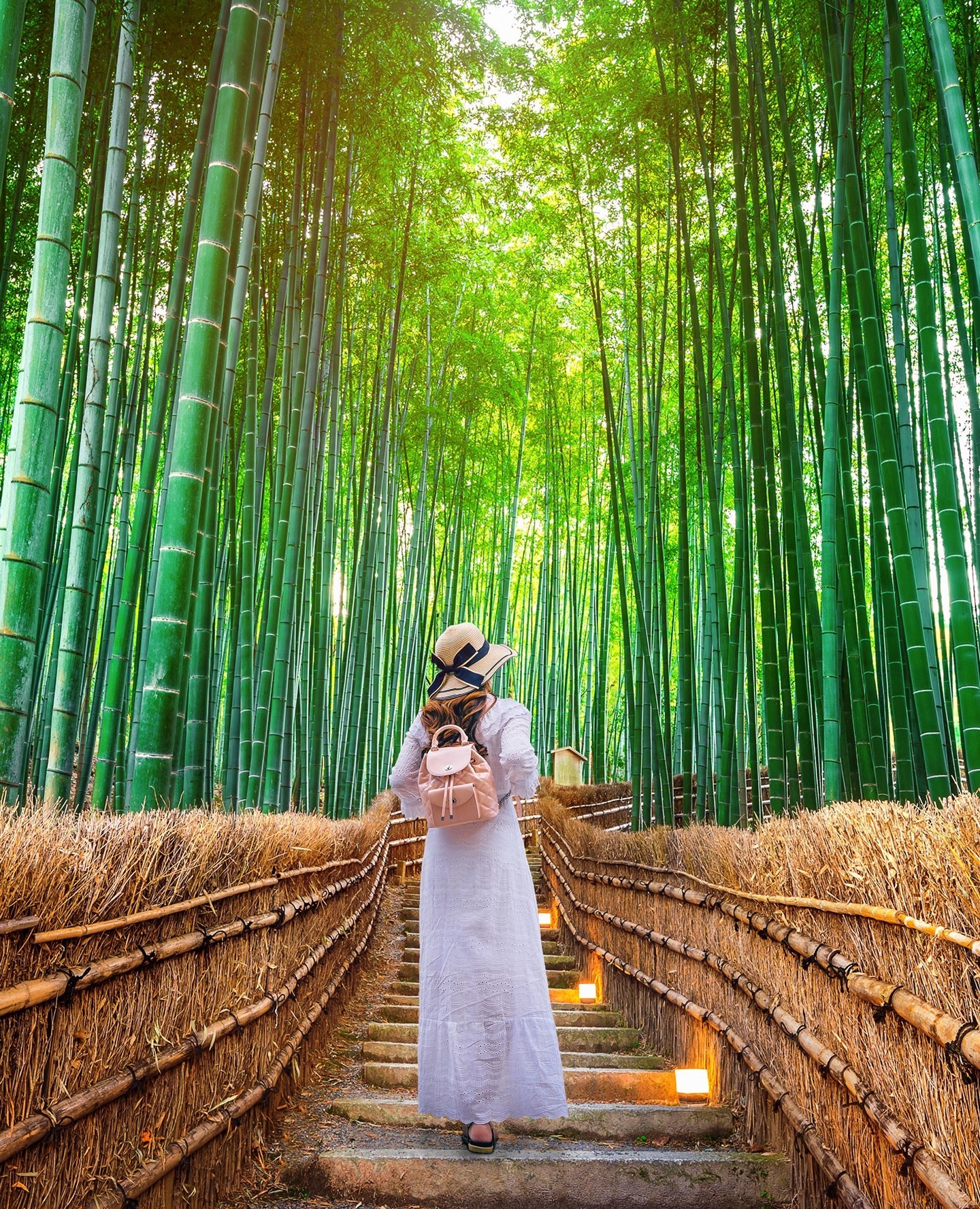 9N tour package for japan from Bangalore – Complete Japan Discovery