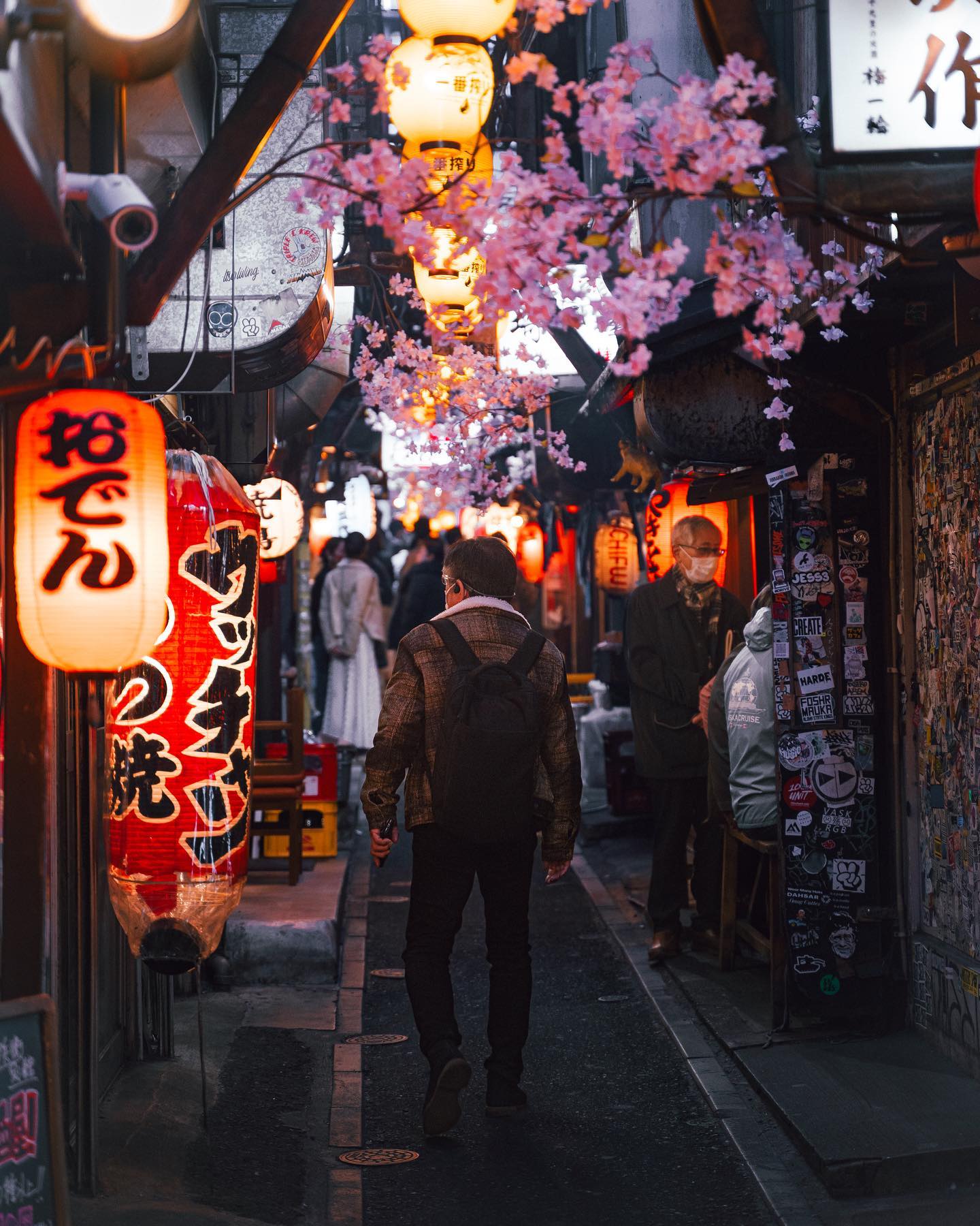 7N Best Japan Travel Deals from Chennai – Nara’s Charm & Kyoto’s Culture