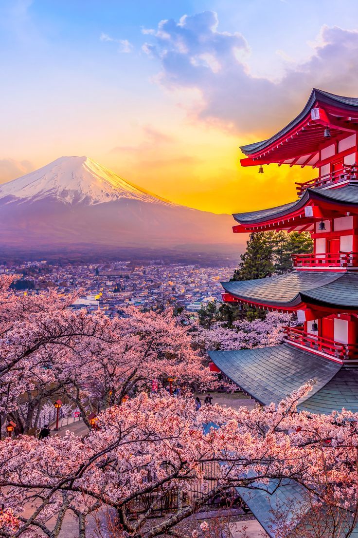 6N Japan Travel Packages from Chennai – Hakone, Fuji & Nature Trails