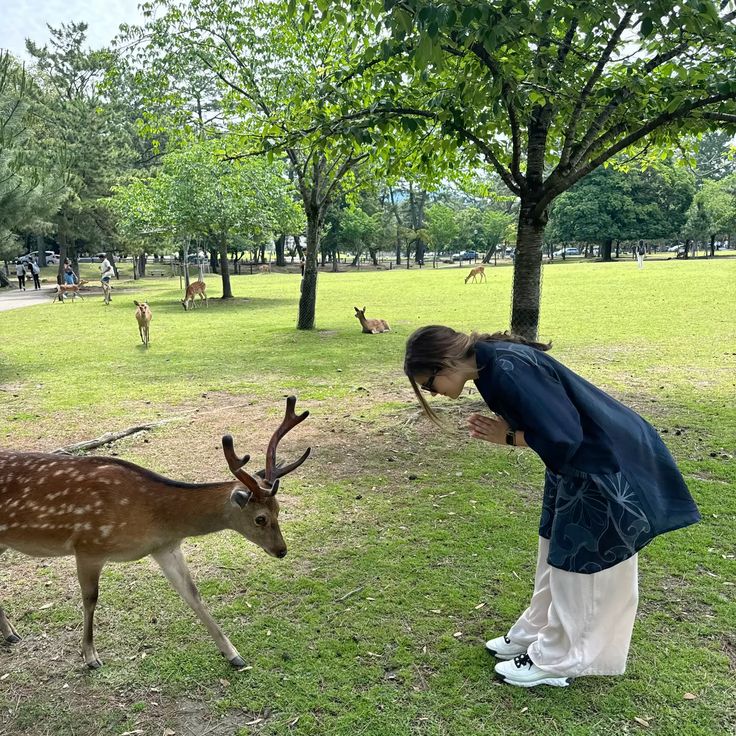 8N Cheapest Japan honeymoon packages – Tokyo, Osaka, Kyoto & Nara