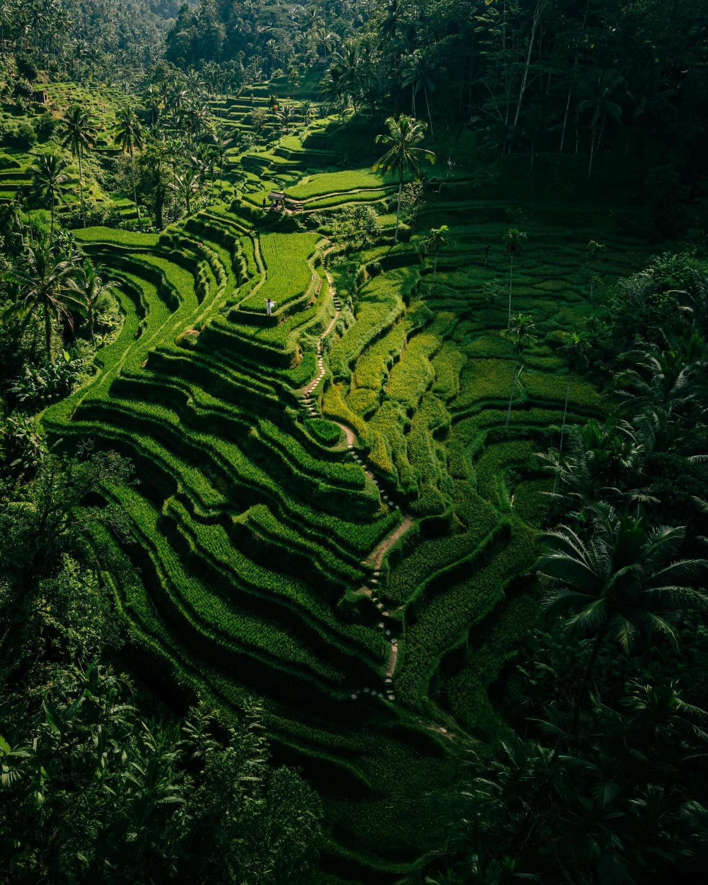 Jimbaran, Ubud, Uluwatu and Sanur, 8-Night Bali Adventure Tour