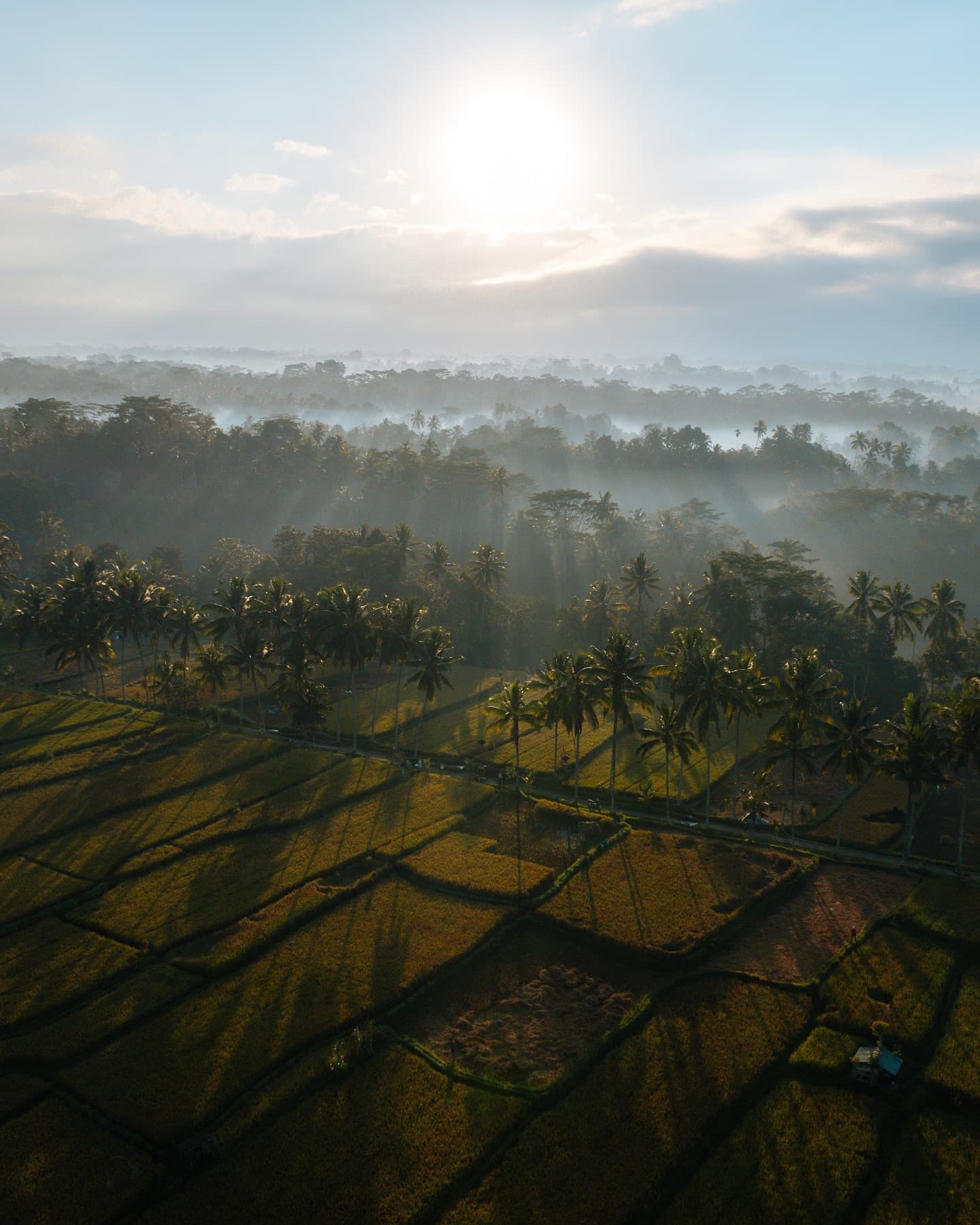 5-Night Nusa Dua and Ubud Budget Bali Trip from Mumbai