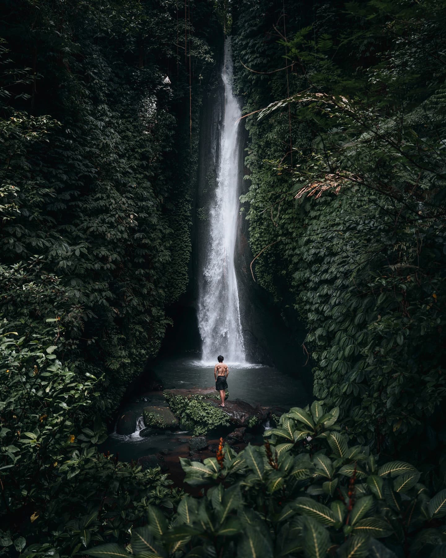 6-Night Bali Budget Trip Across Jimbaran, Ubud and Uluwatu