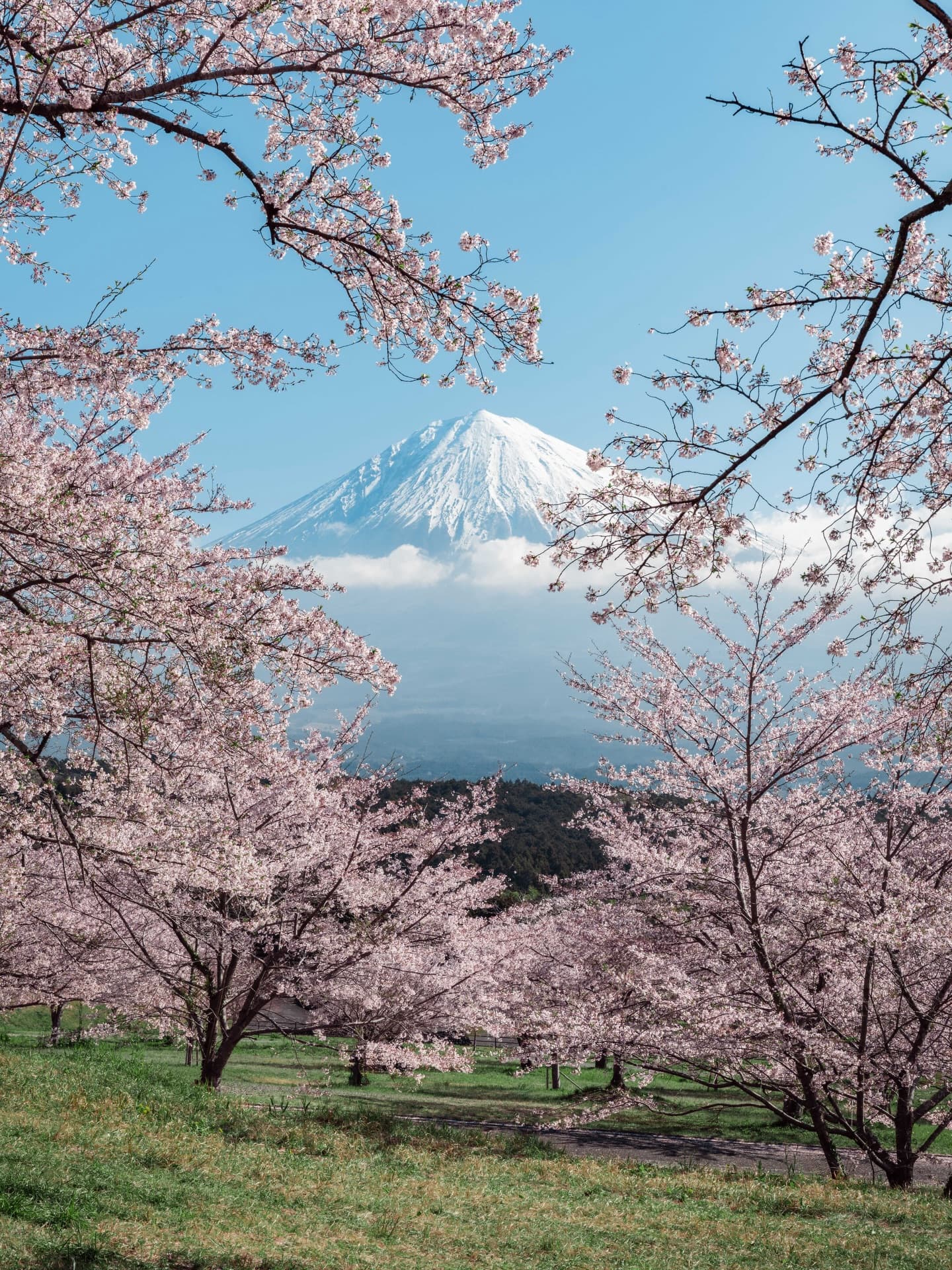7 Budget Nights Between Tokyo and Osaka