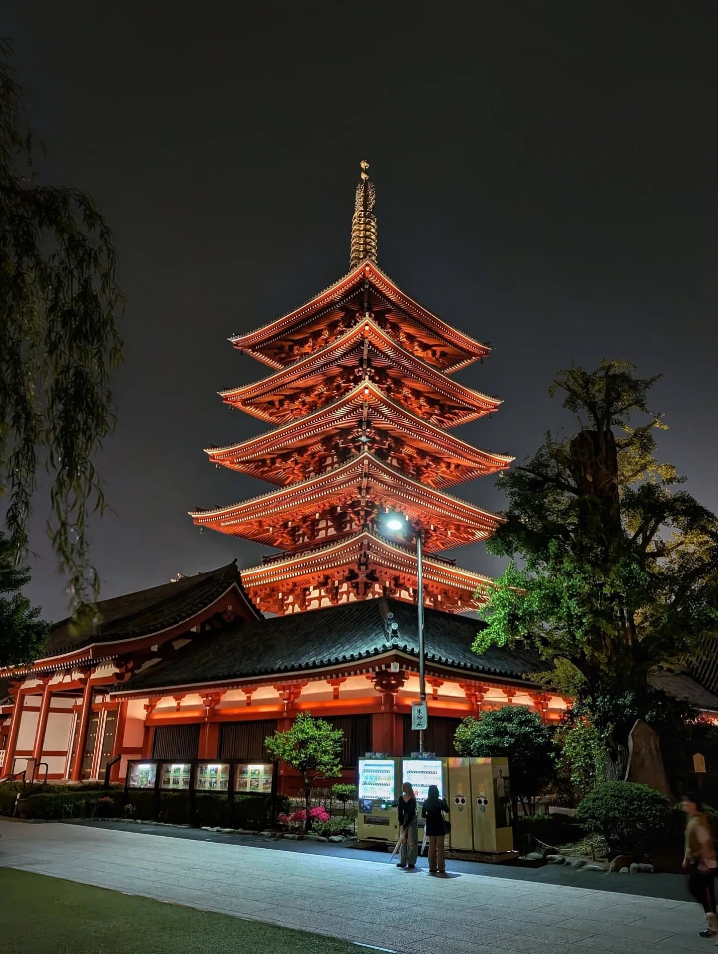 6-Night Three-City Family Journey Through Tokyo, Mount Fuji and Osaka