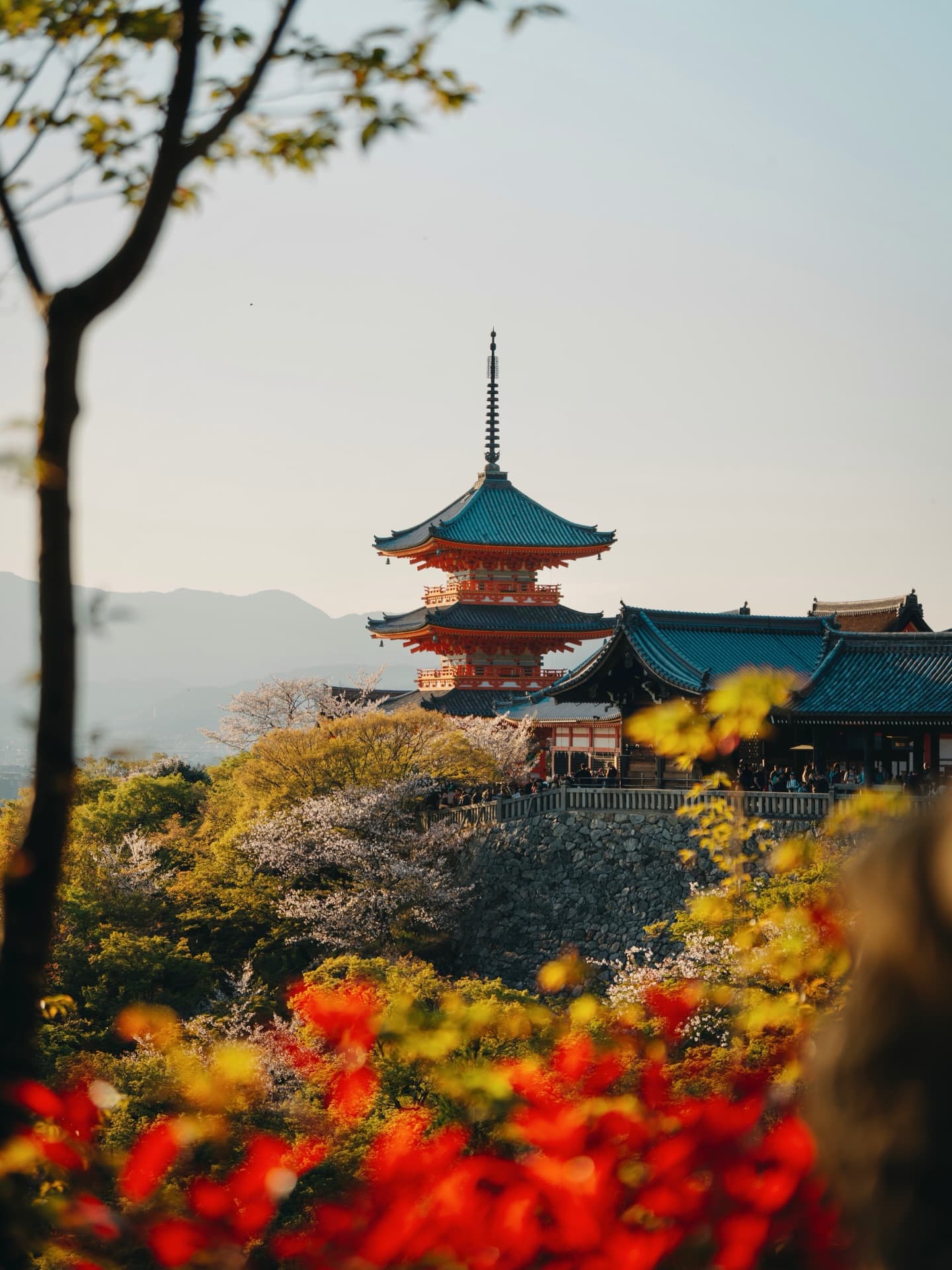Three-City 12-Night Japan Honeymoon Holiday