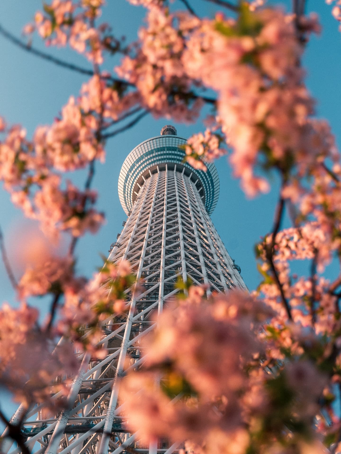 8-Night Japan Budget Break Across Tokyo and Osaka