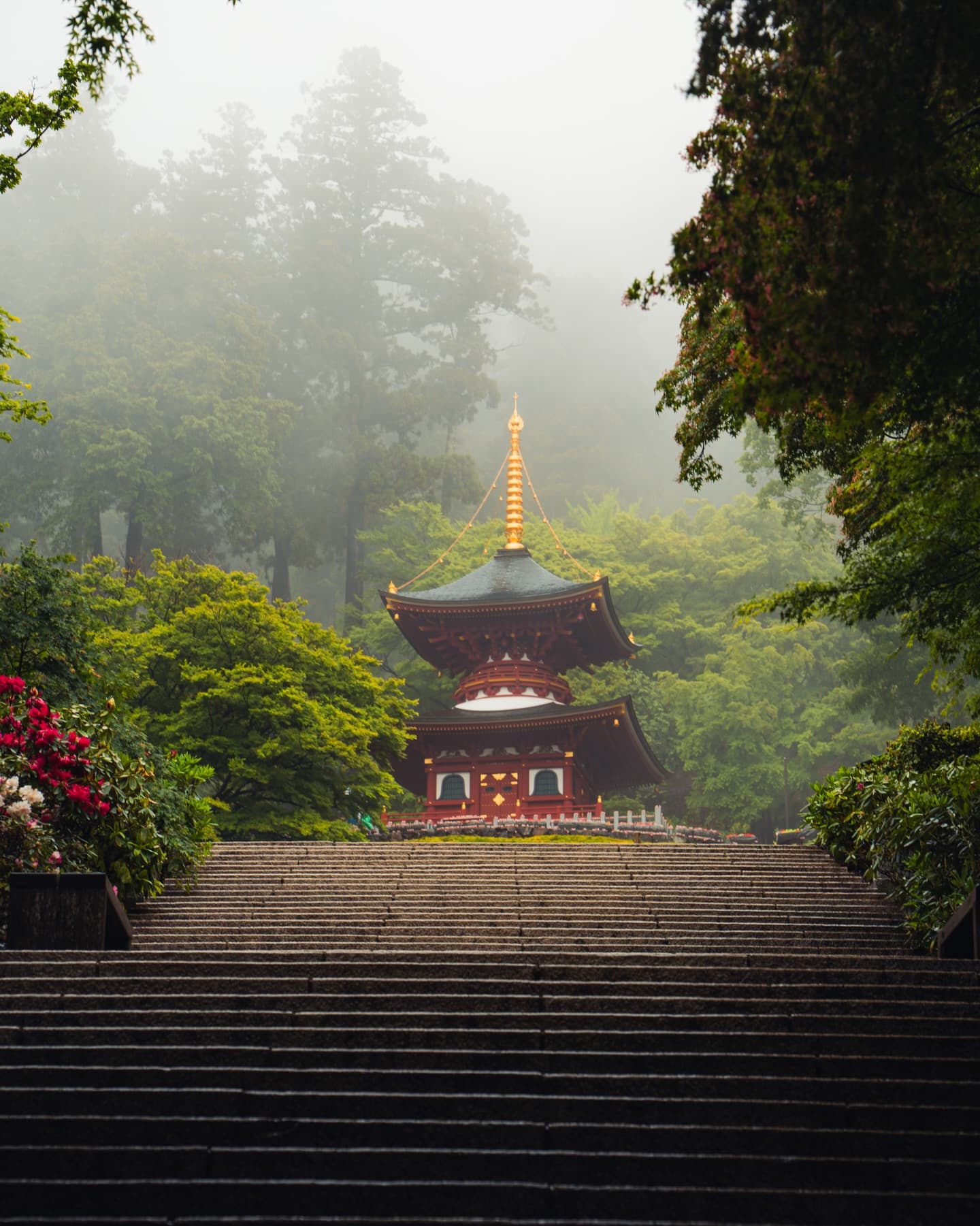 Luxury Tokyo and Mount Fuji Getaway for 5 Nights
