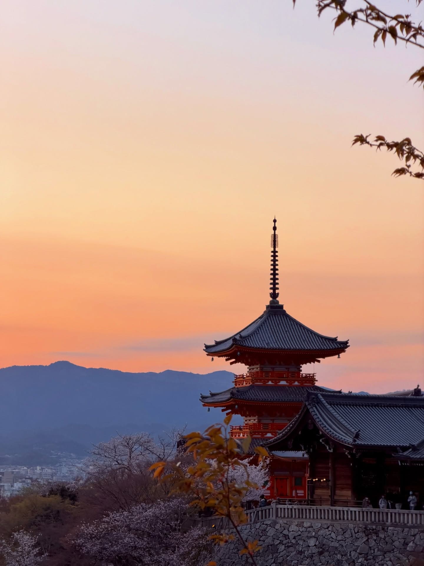 A 6-Night Family Holiday Between Tokyo and Osaka