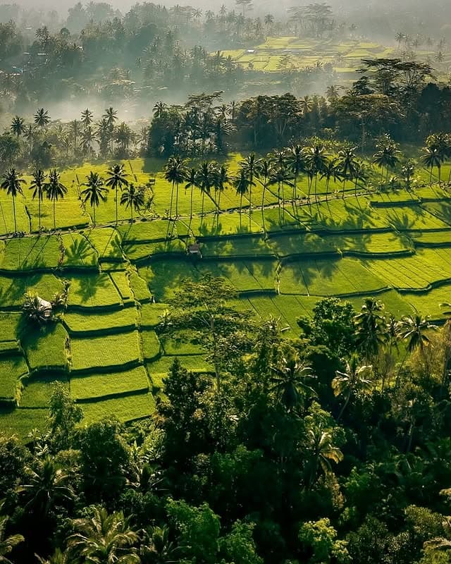 Vietnam 6 Nights Budget Trip Across Ho Chi Minh City, Mui Ne & Da Nang
