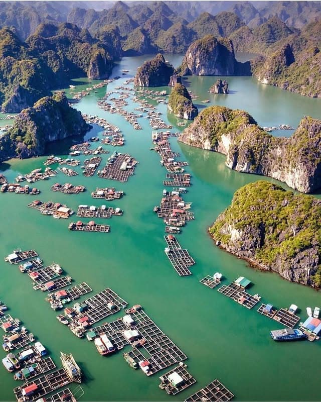 Hanoi and Ha Long Bay, 5-Night Family Trip from Ahmedabad