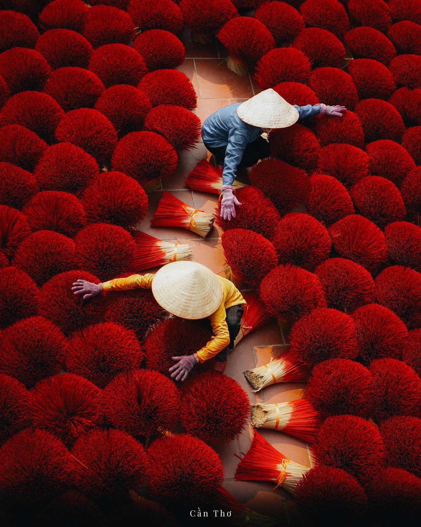 7 Nights Hanoi, Ninh Binh and Da Nang from Delhi