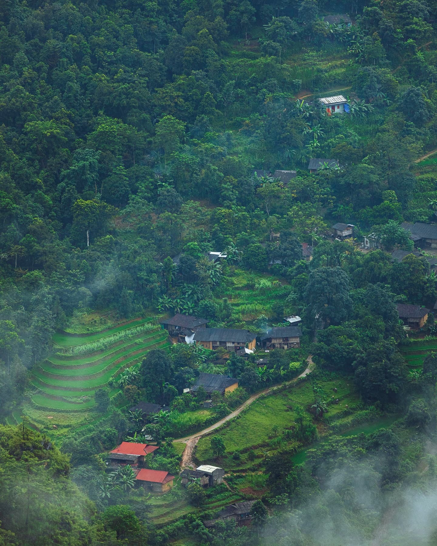 Hanoi, Sapa, Da Nang and Nha Trang in 11 Nights