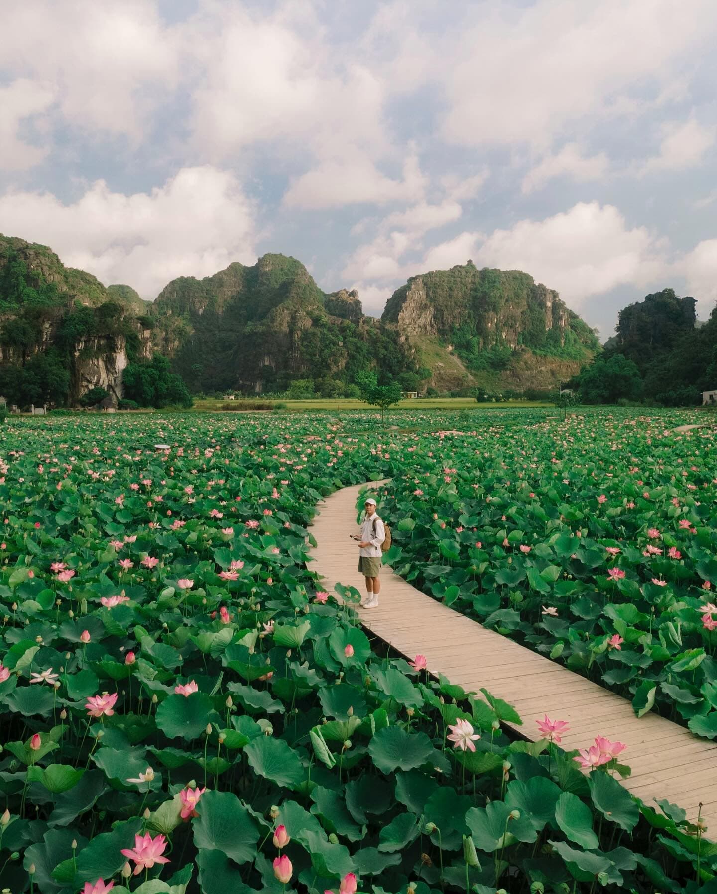 Hanoi, Ninh Binh and Nha Trang from Kolkata for 11 Adventure Nights