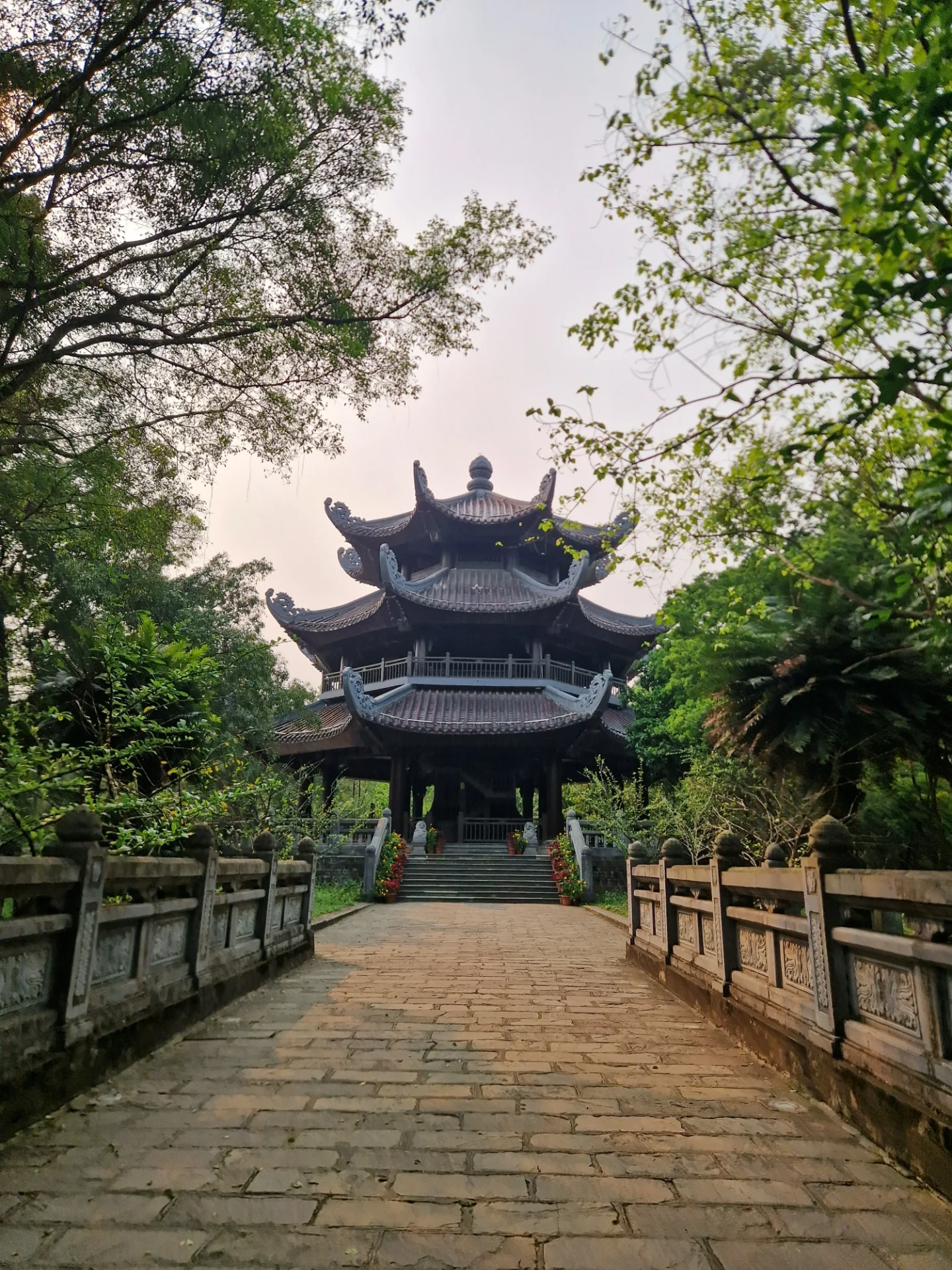 Hanoi, Sapa and Ninh Binh in 7 Adventure Nights, from Kolkata