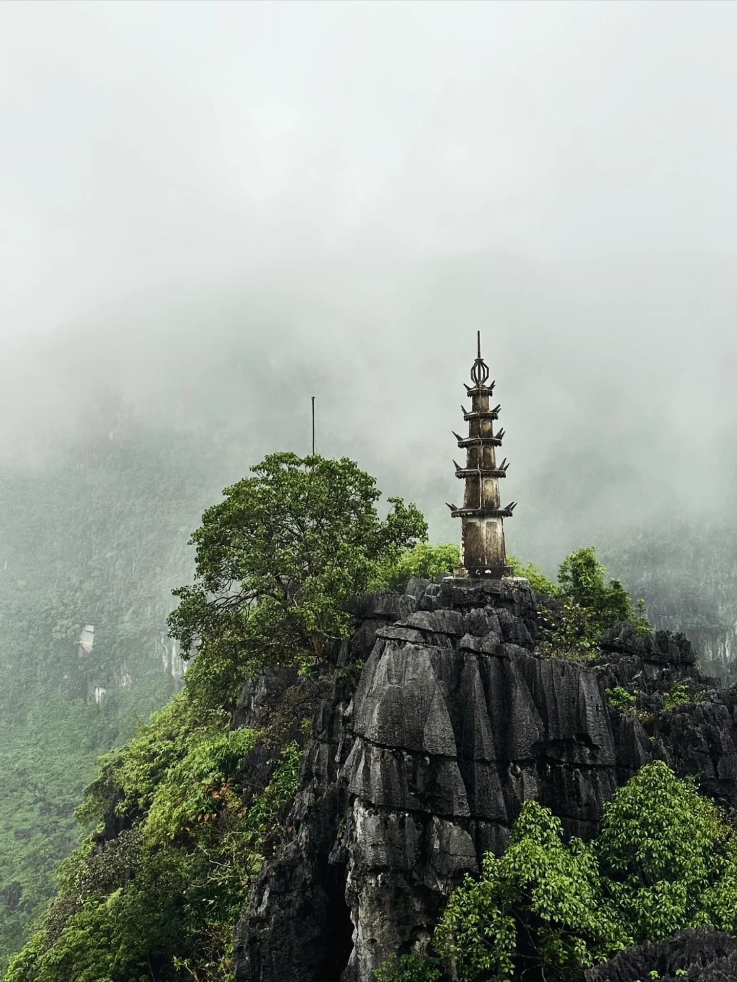 7 Nights Across Hanoi, Ninh Binh and Da Nang