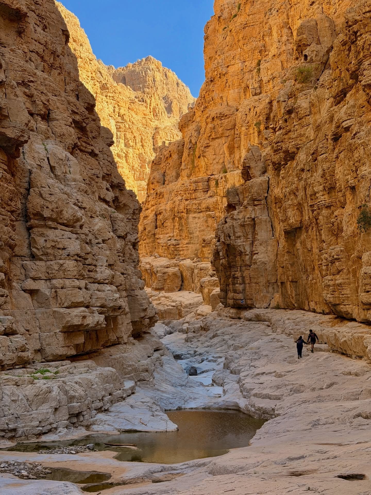 Bur Dubai to Ras Al Khaimah, 7-Night Adventure from Mumbai