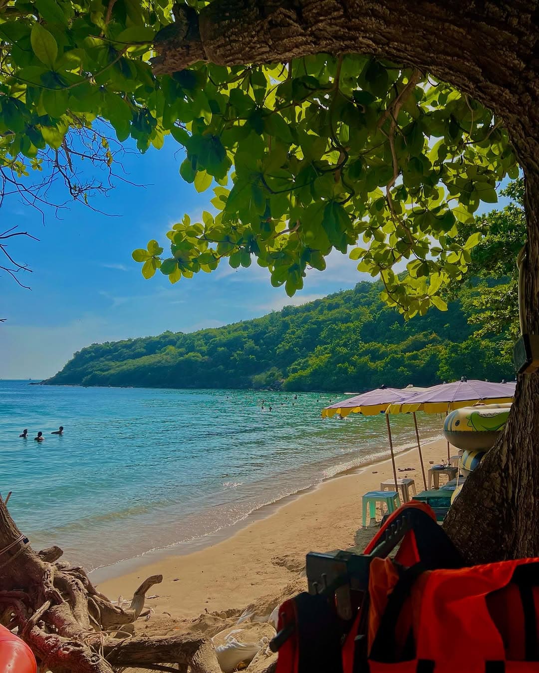 4-Night Bangkok and Pattaya Trip from Kochi Airport