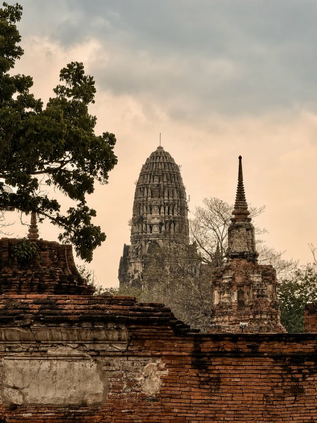 8-Night Bangkok, Pattaya, Chiang Mai and Phuket Trip from Kochi