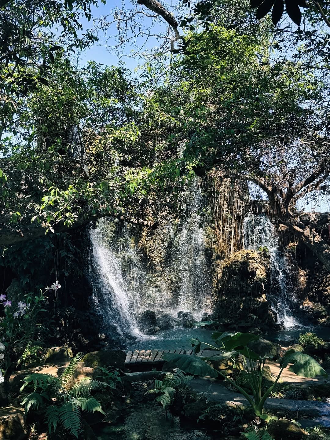 9-Night Thailand Trip from Kochi with Northern Highlights