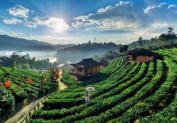 1N Kandy | 1N Nuwara Eliya | 1N Bentota | 1N Colombo