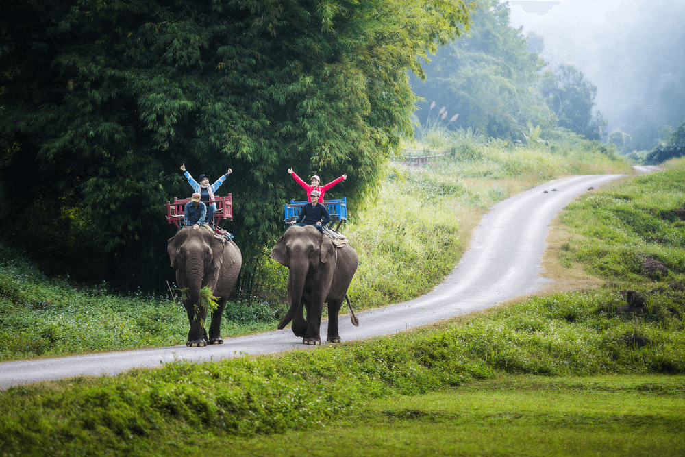Chiang Mai, Bangkok, Phuket and Krabi, 9-Night Four-City Honeymoon