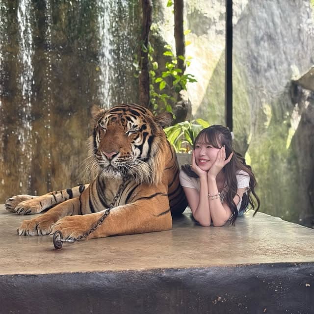 7-Night Four-City Thailand Package from Delhi