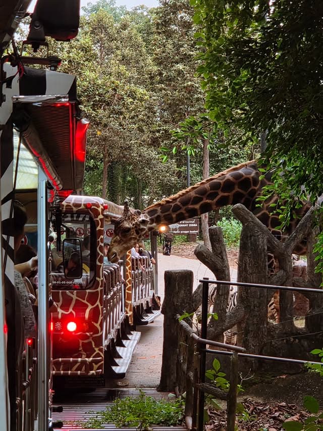 Bangkok and Chiang Mai 5-Night Cultural Tour from Mumbai