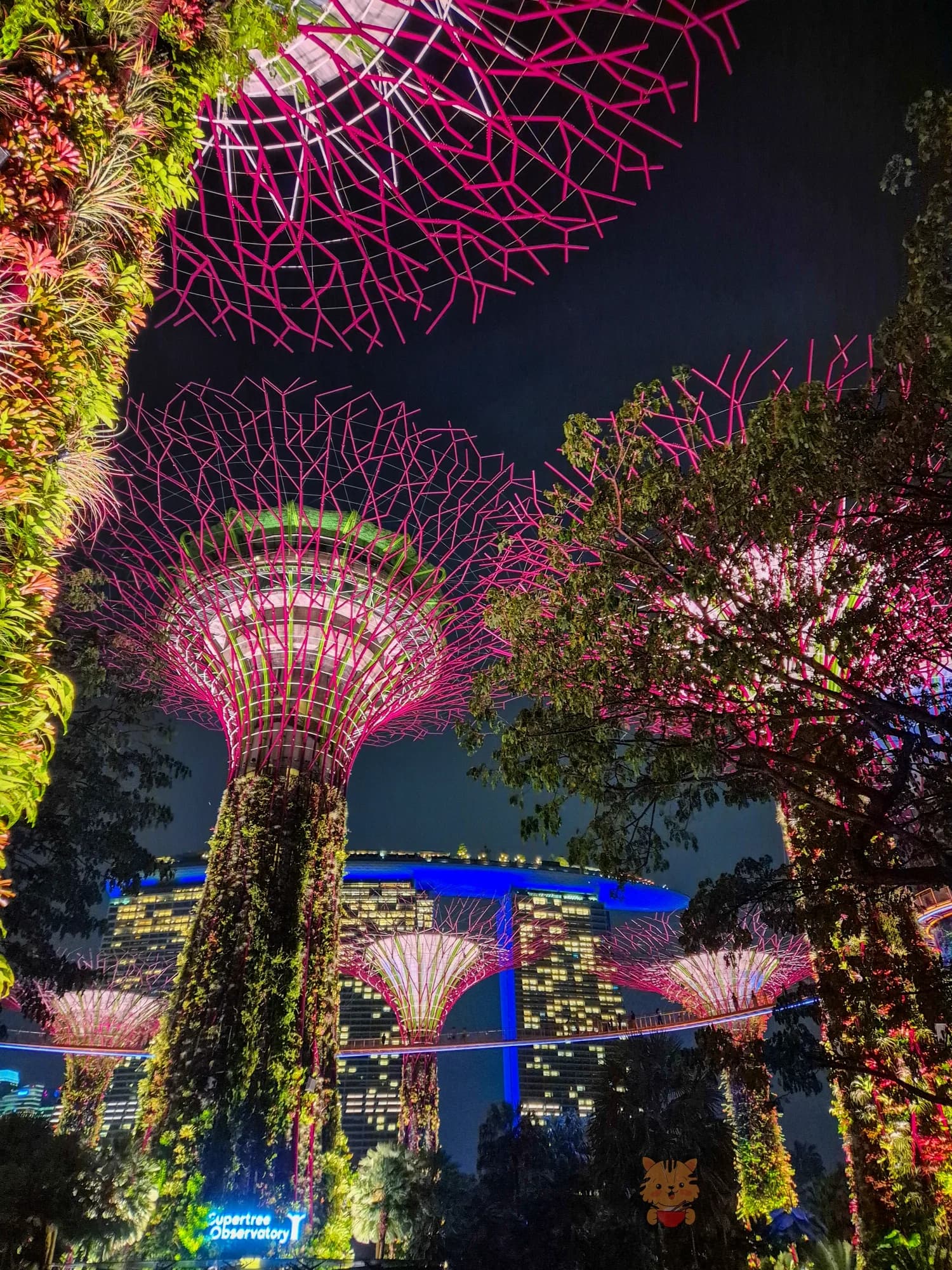 Orchard, Sentosa and Changi, 6-Night Singapore Family Holiday from Chennai